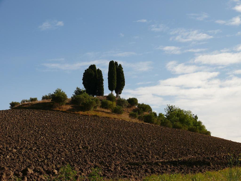 Due Torri Hotel San Severino Marche Exterior photo